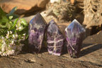 Polished Dream Amethyst Points x 3 From Madagascar - Toprock Gemstones and Minerals 