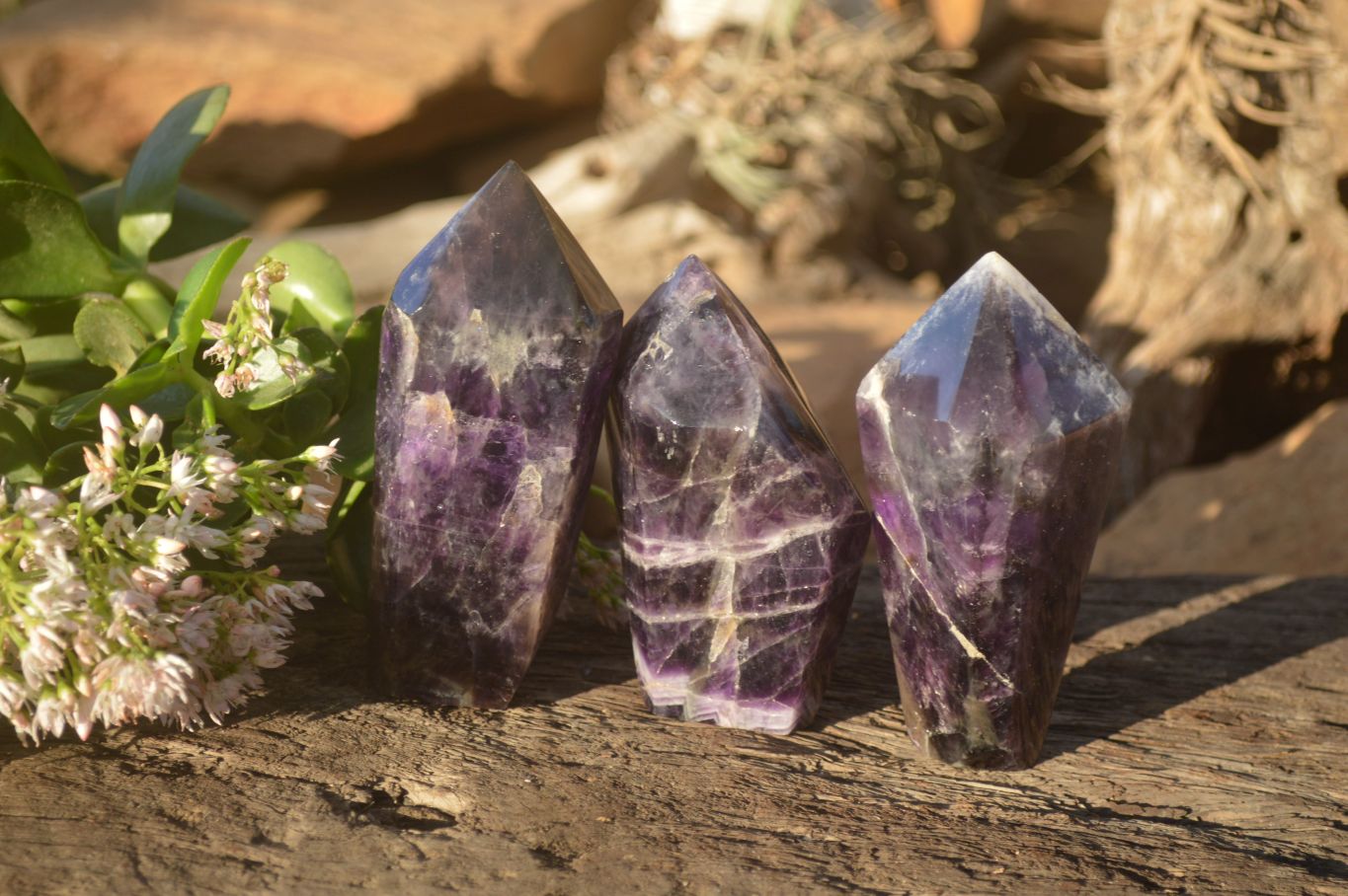 Polished Dream Amethyst Points x 3 From Madagascar - Toprock Gemstones and Minerals 