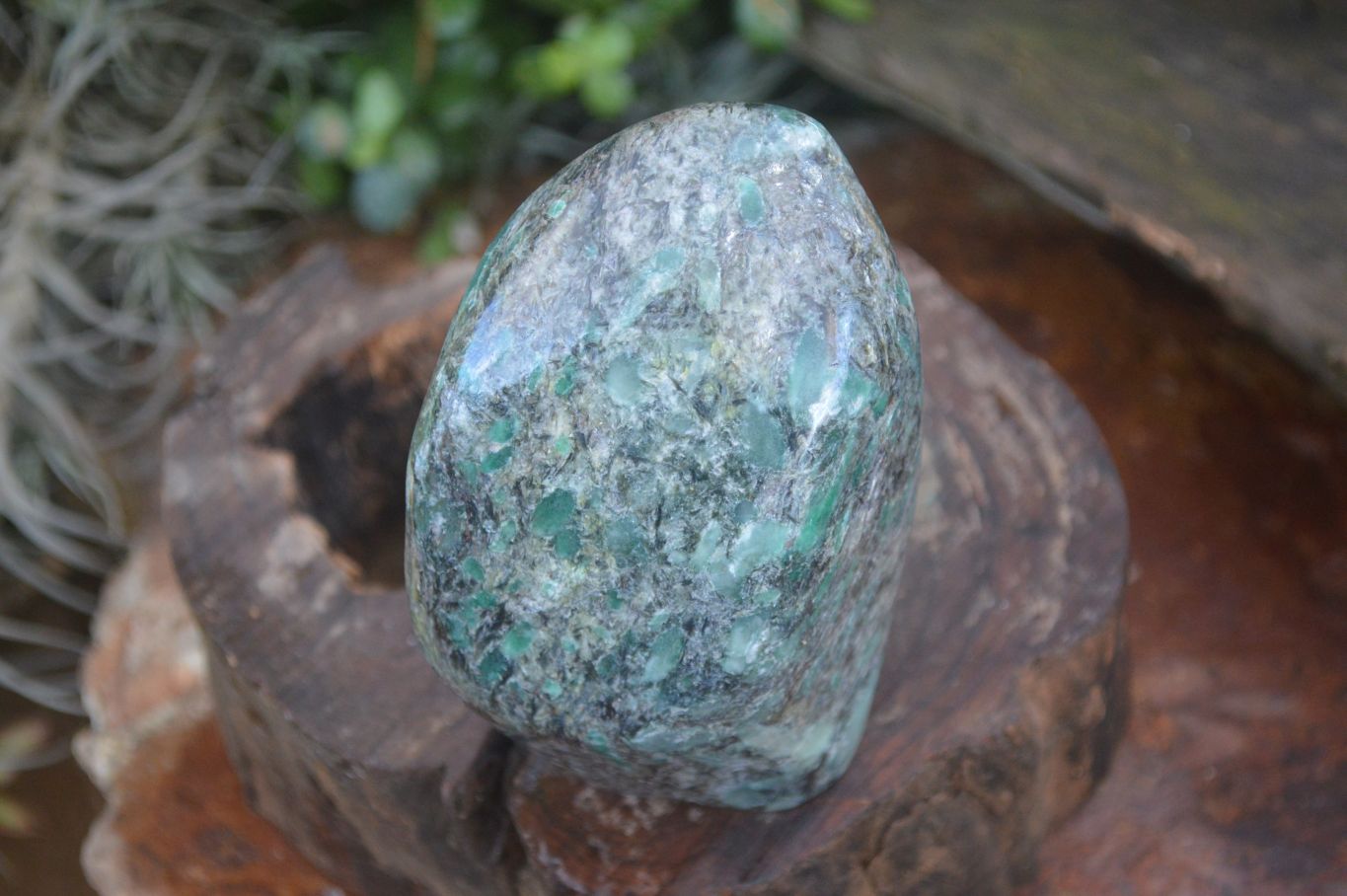 Polished Emerald Mica In Matrix Standing Free Forms x 1 From Mutoko, Zimbabwe - Toprock Gemstones and Minerals 