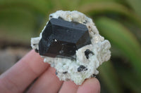Natural Schorl Black Tourmaline Specimens x 6 From Erongo, Namibia