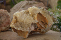 Natural Golden Limonite Quartz Vug Specimen x 1 From Zambia - Toprock Gemstones and Minerals 