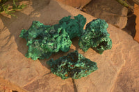 Natural Chatoyant Silky Malachite Specimens  x 3 From Congo - Toprock Gemstones and Minerals 