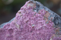 Natural Salrose Cobaltion Dolomite Specimens x 3 From Kakanda, Congo - Toprock Gemstones and Minerals 