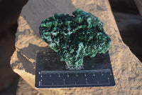 Natural Chatoyant Silky Malachite Specimens  x 6 From Kasompe, Congo - Toprock Gemstones and Minerals 