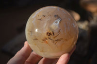 Polished Highly Selected Agate Spheres  x 2 From Madagascar - Toprock Gemstones and Minerals 