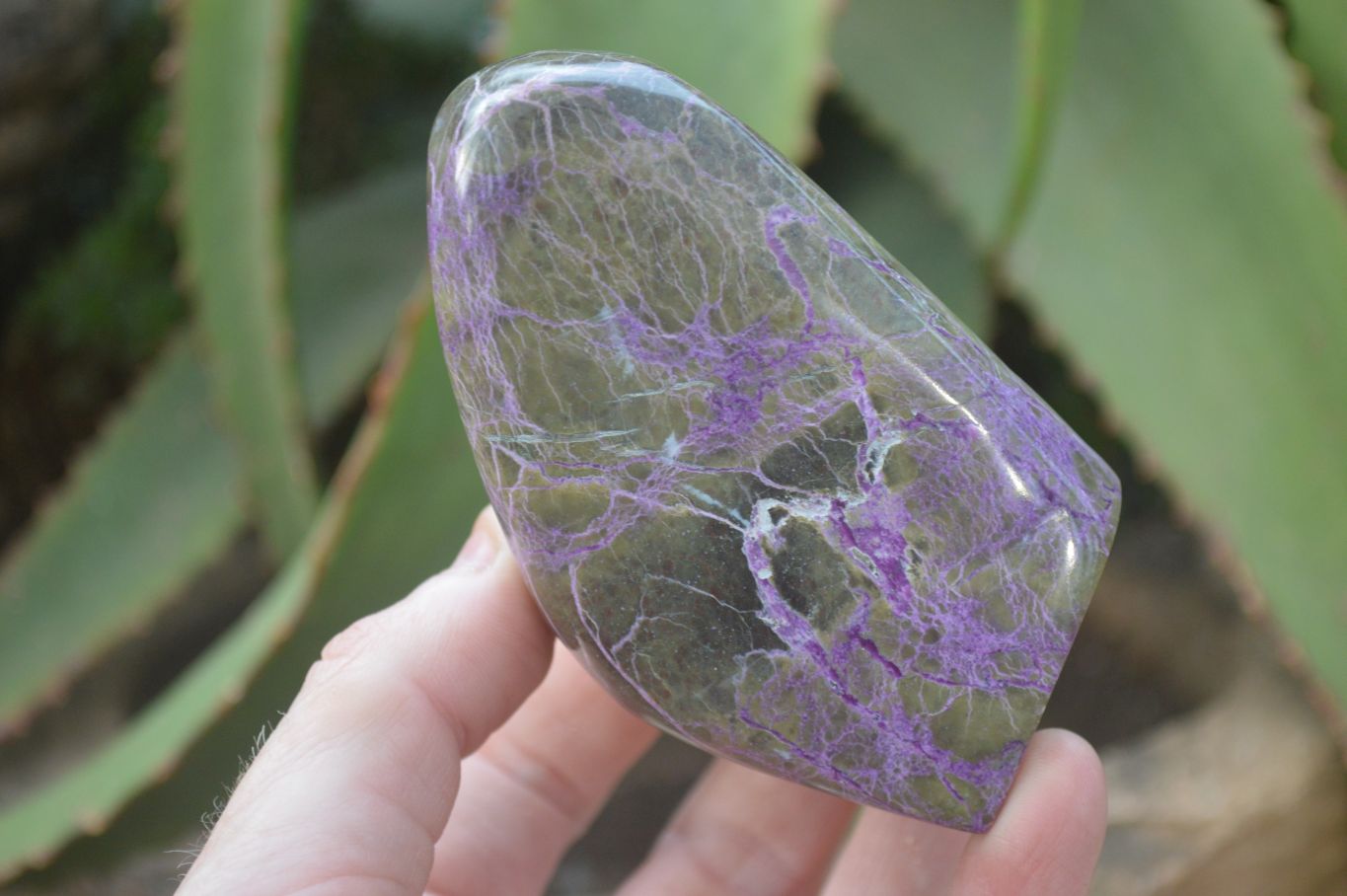Polished Stichtite & Serpentine Standing Free Forms x 3 From Barberton, South Africa - Toprock Gemstones and Minerals 