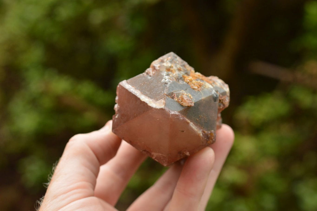 Natural Single Red Hematoid Quartz Crystals  x 6 From Karoi, Zimbabwe - TopRock