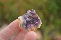Natural Small Dark "Amethystos" Amethyst Clusters x 70 From Kwaggafontein, South Africa - TopRock