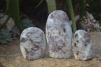 Polished Rubellite Pink Tourmaline Standing Free Forms x 3 From Madagascar - Toprock Gemstones and Minerals 
