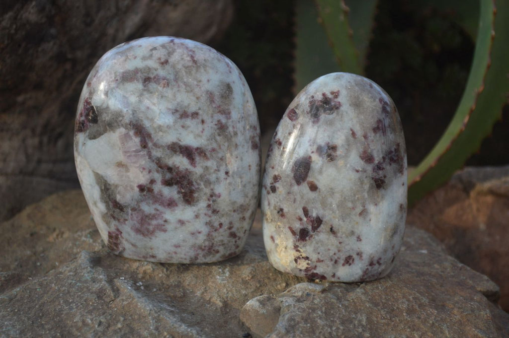 Polished Rubellite Pink Tourmaline Standing Free Forms x 3 From Madagascar - Toprock Gemstones and Minerals 