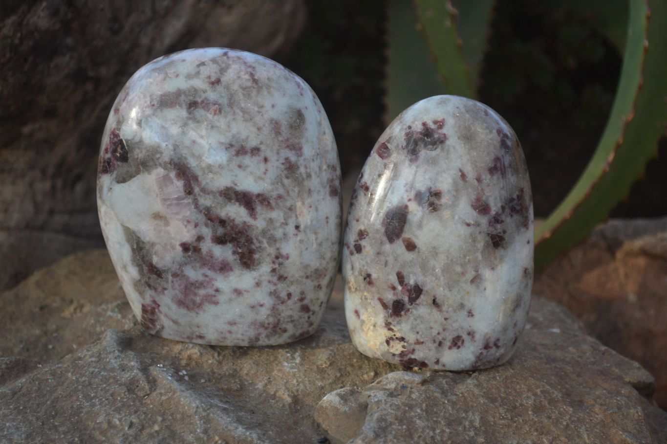 Polished Rubellite Pink Tourmaline Standing Free Forms x 3 From Madagascar - Toprock Gemstones and Minerals 