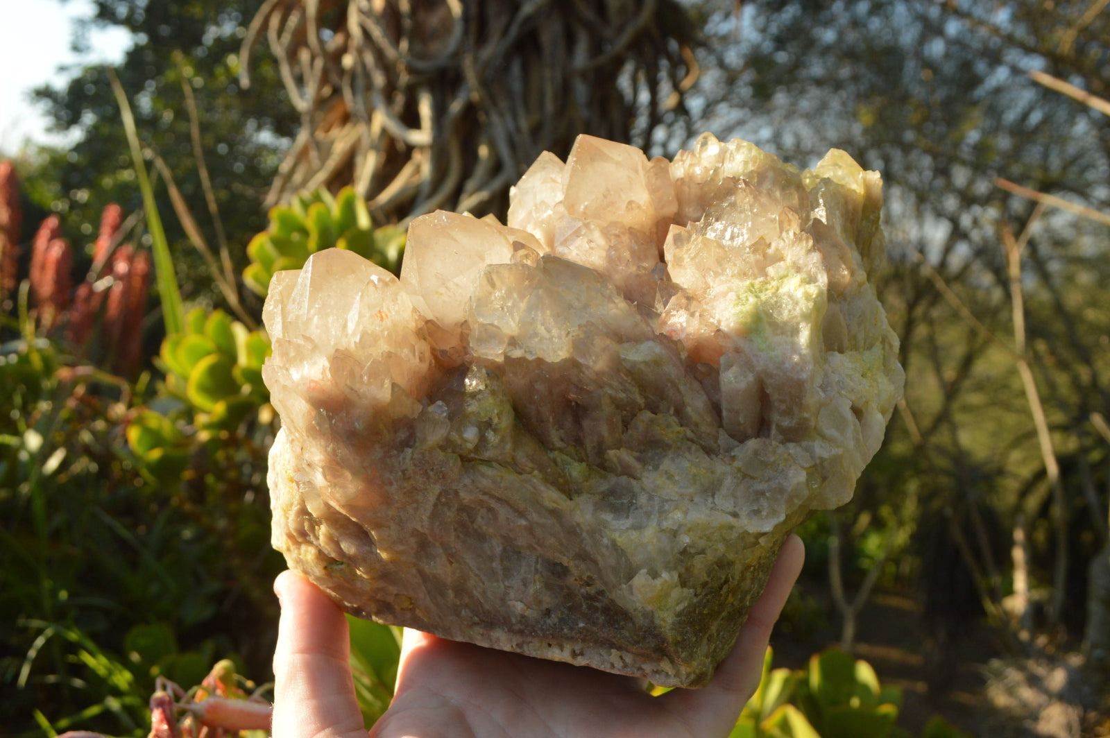 Natural Malachite Infused Smokey Quartz Cluster x 1 From Luena, Congo - TopRock