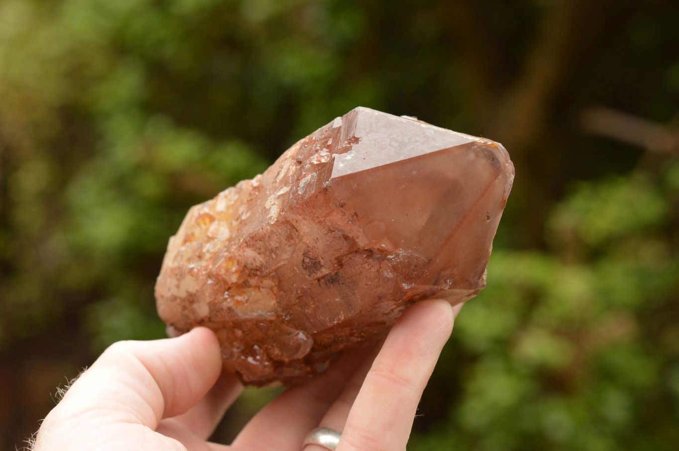 Natural Single Red Hematoid Quartz Crystals  x 6 From Karoi, Zimbabwe - TopRock