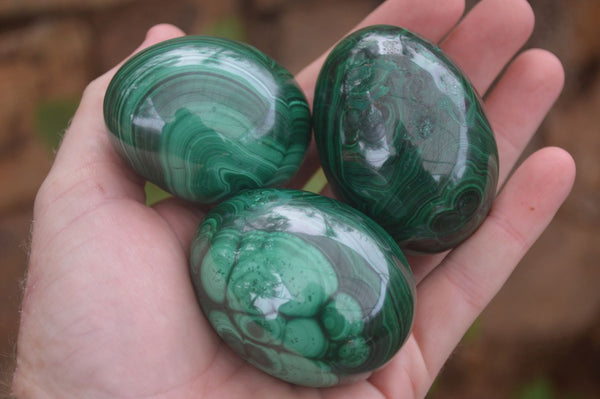 Polished Stunning Flower Banded Malachite Eggs  x 3 From Congo - Toprock Gemstones and Minerals 