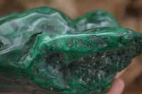 Polished  Large Malachite Free Form With Flower Ring Patterns  x 1 From Congo - Toprock Gemstones and Minerals 