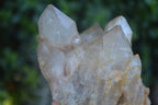 Natural Cascading White Phantom Smokey Quartz Clusters  x 3 From Luena, Congo - Toprock Gemstones and Minerals 