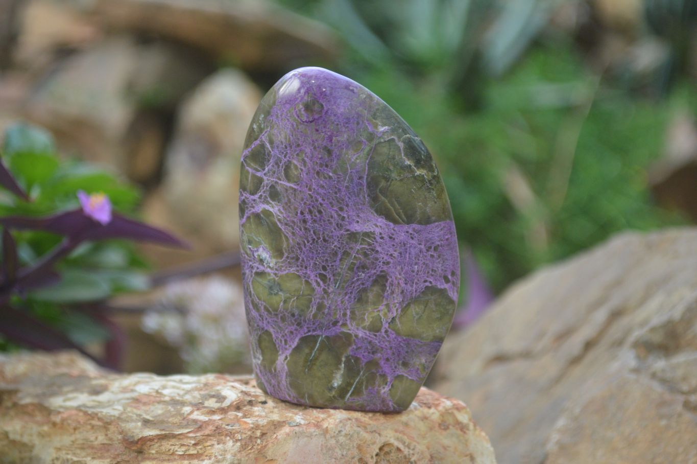 Polished Stichtite & Serpentine Standing Free Forms x 3 From Barberton, South Africa - Toprock Gemstones and Minerals 