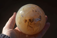 Polished Highly Selected Agate Spheres  x 2 From Madagascar - Toprock Gemstones and Minerals 