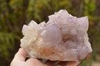 Natural Amethyst Cactus Quartz Clusters  x 5 From Boekenhouthoek, South Africa - TopRock