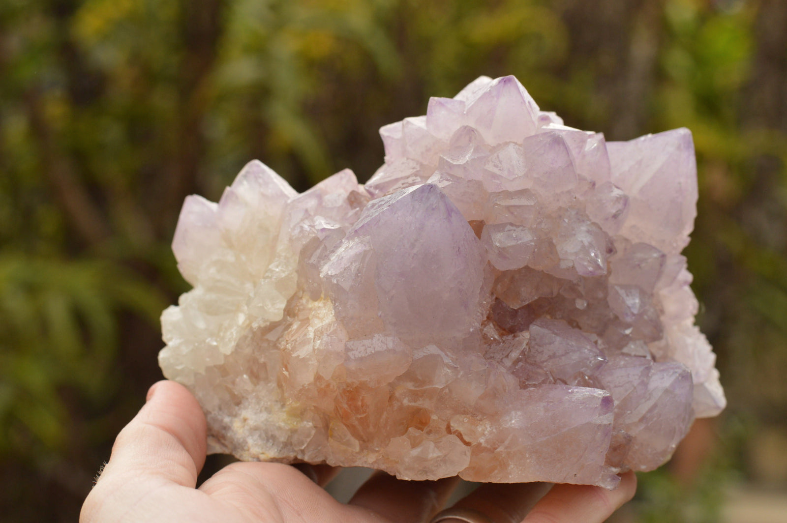 Natural Amethyst Cactus Quartz Clusters  x 5 From Boekenhouthoek, South Africa - TopRock