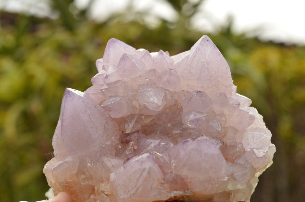 Natural Amethyst Cactus Quartz Clusters  x 5 From Boekenhouthoek, South Africa - TopRock