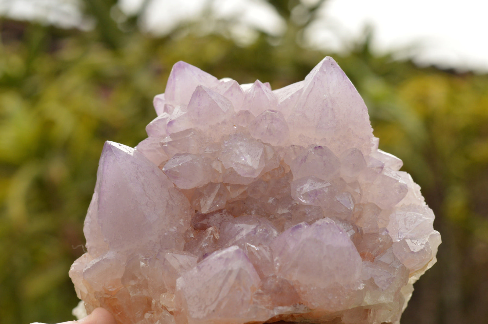 Natural Amethyst Cactus Quartz Clusters  x 5 From Boekenhouthoek, South Africa - TopRock