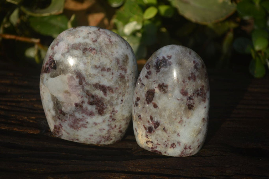 Polished Rubellite Pink Tourmaline Standing Free Forms x 3 From Madagascar - Toprock Gemstones and Minerals 