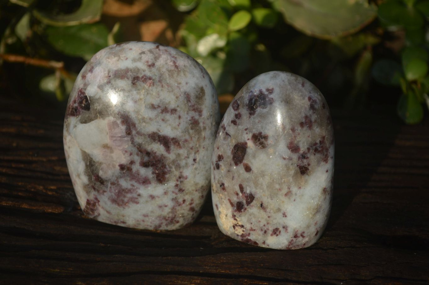 Polished Rubellite Pink Tourmaline Standing Free Forms x 3 From Madagascar - Toprock Gemstones and Minerals 