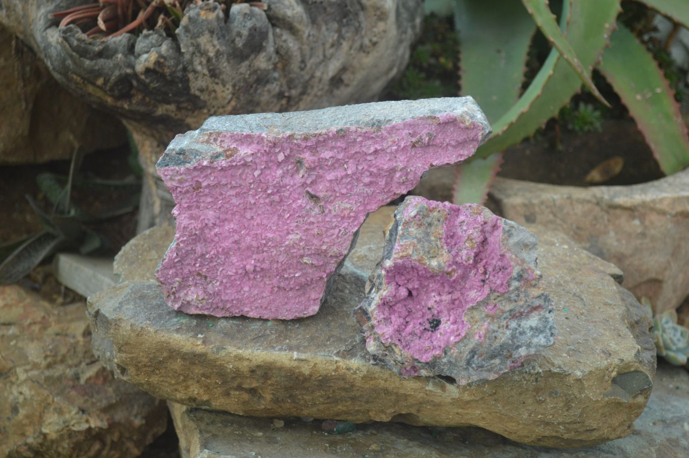 Natural Salrose Cobaltion Dolomite Specimens x 3 From Kakanda, Congo - Toprock Gemstones and Minerals 