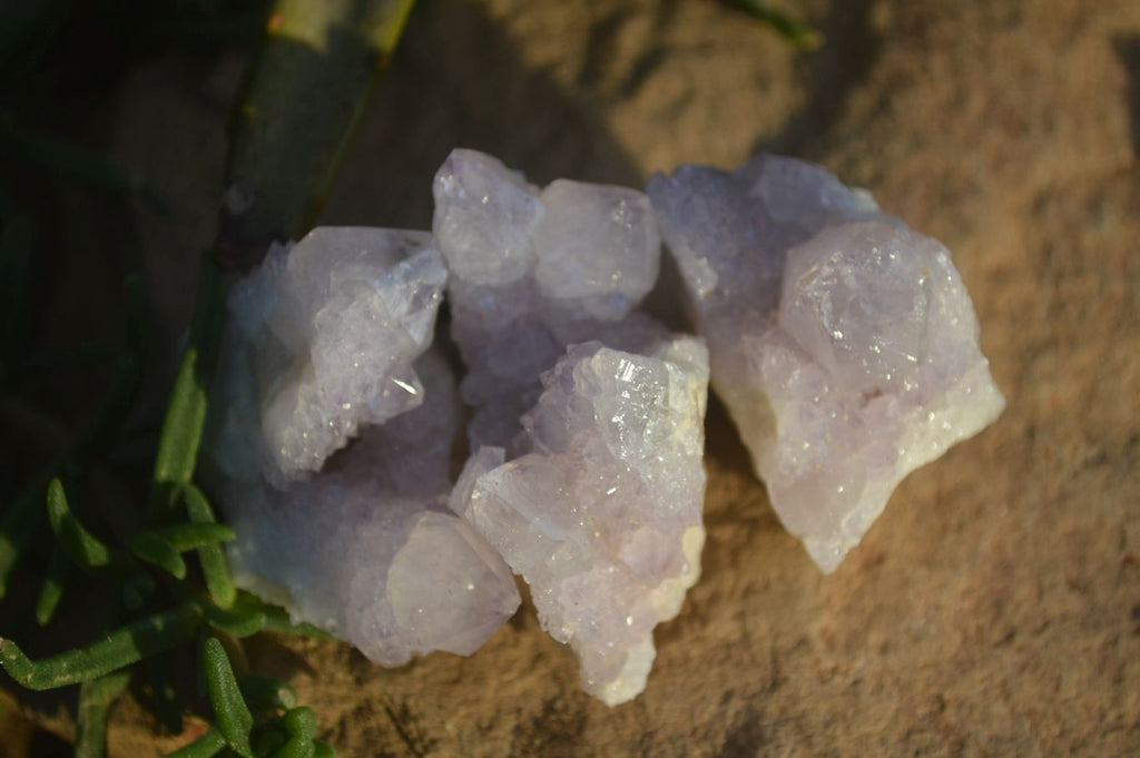 Natural Spirit Amethyst Quartz Crystals x 20 From Boekenhouthoek, South Africa - Toprock Gemstones and Minerals 