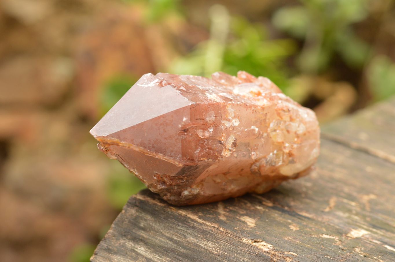 Natural Single Red Hematoid Quartz Crystals  x 6 From Karoi, Zimbabwe - TopRock