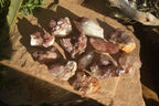 Natural Red Hematoid Quartz Specimens x 12 From Karoi, Zimbabwe - Toprock Gemstones and Minerals 
