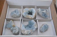 Natural Blue Celestite Crystal Specimens  x 7 From Sakoany, Madagascar - Toprock Gemstones and Minerals 