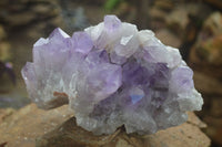 Natural Large Jacaranda Amethyst Vug Specimen  x 1 From Mumbwa, Zambia - Toprock Gemstones and Minerals 