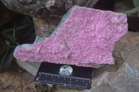 Natural Salrose Cobaltion Dolomite Specimens x 3 From Kakanda, Congo - Toprock Gemstones and Minerals 