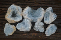 Natural Blue Celestite Crystal Specimens  x 7 From Sakoany, Madagascar - Toprock Gemstones and Minerals 