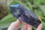 Polished Dream Amethyst Points x 3 From Madagascar - Toprock Gemstones and Minerals 