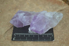 Natural Single Jacaranda Amethyst Crystals  x 6 From Mumbwa, Zambia - Toprock Gemstones and Minerals 