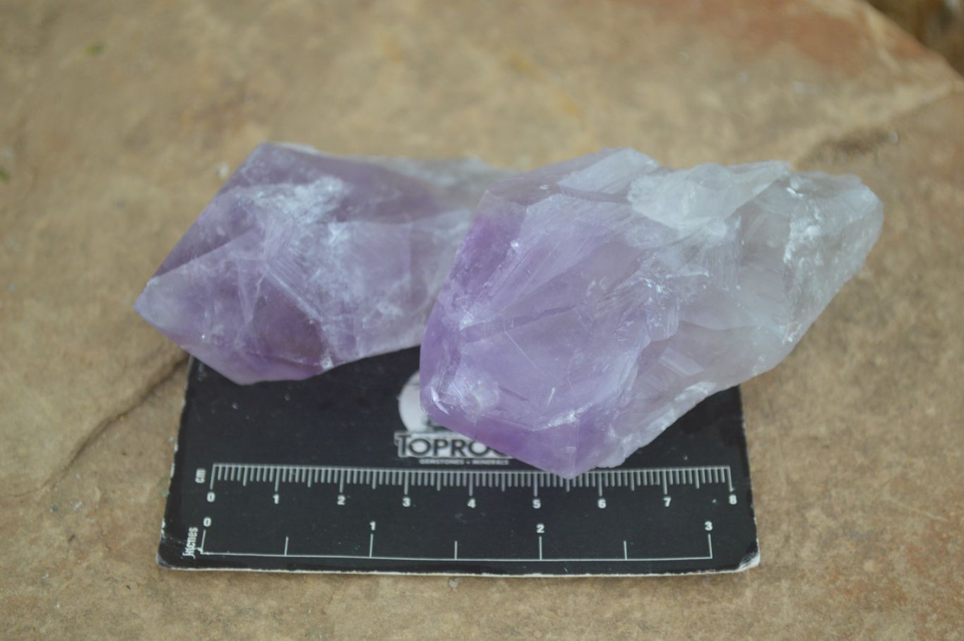 Natural Single Jacaranda Amethyst Crystals  x 6 From Mumbwa, Zambia - Toprock Gemstones and Minerals 