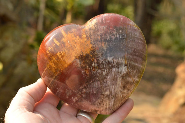 Polished Petrified Red Podocarpus Wood Hearts  x 2 From Mahajanga, Madagascar - TopRock
