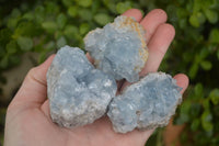 Natural Blue Celestite Crystal Specimens  x 7 From Sakoany, Madagascar - Toprock Gemstones and Minerals 