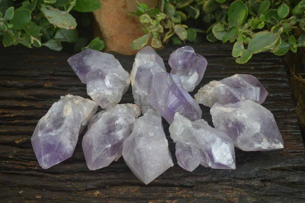 Natural Large Single Jacaranda Amethyst Crystals  x 12 From Mumbwa, Zambia - Toprock Gemstones and Minerals 