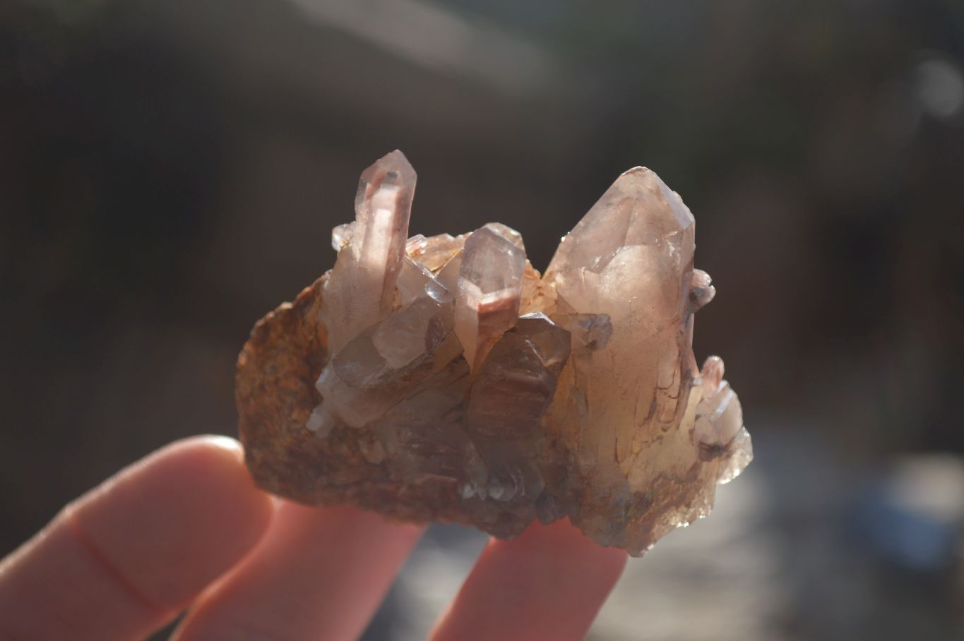 Natural Red Hematoid Quartz Specimens x 12 From Karoi, Zimbabwe - Toprock Gemstones and Minerals 