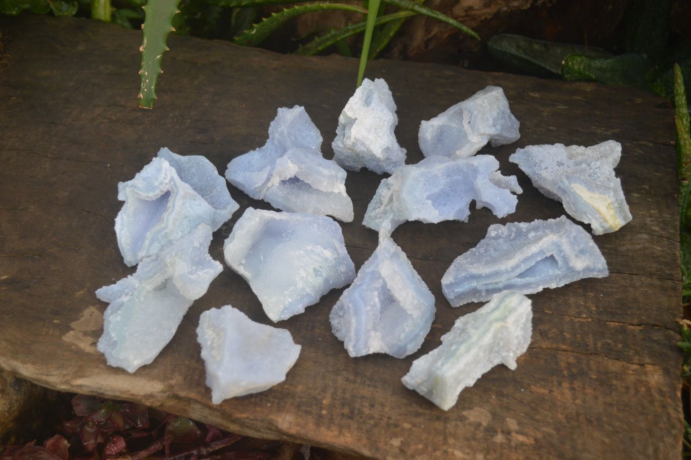Natural Etched Blue Chalcedony Specimens  x 12 From Nsanje, Malawi - Toprock Gemstones and Minerals 