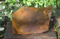 Natural Sliced Tigers Eye Specimen x 1 From Prieska, South Africa - Toprock Gemstones and Minerals 