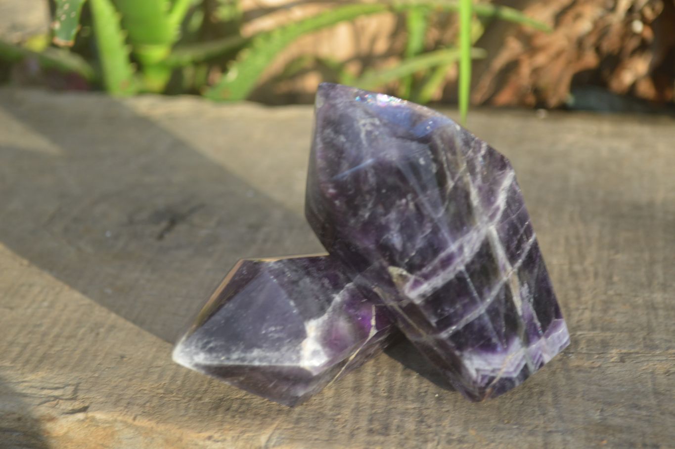 Polished Dream Amethyst Points x 3 From Madagascar - Toprock Gemstones and Minerals 