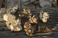 Natural Mixed Aegirine Specimens  x 6 From Zomba, Malawi