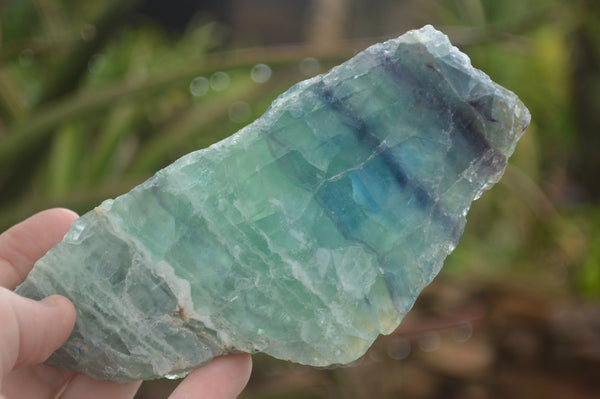 Polished One Side Polished Watermelon Fluorite Slabs x 3 From Namibia - TopRock
