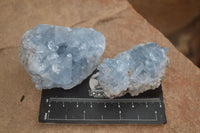 Natural Blue Celestite Crystal Specimens  x 7 From Sakoany, Madagascar - Toprock Gemstones and Minerals 