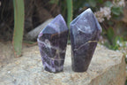 Polished Dream Amethyst Points x 3 From Madagascar - Toprock Gemstones and Minerals 